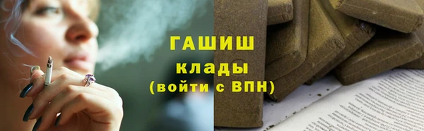 гидра Бородино