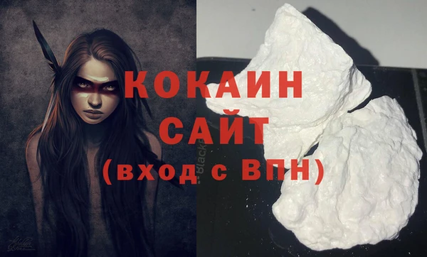 гидра Бородино