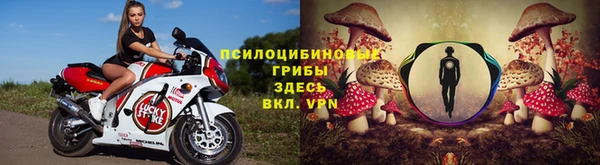 гидра Бородино