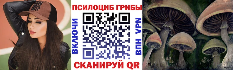 это Telegram  Ливны  Галлюциногенные грибы Cubensis 